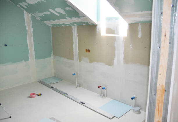  Basehor, KS Mold Removal Pros