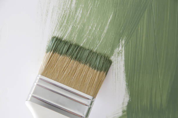 Best Real Estate Mold Inspection  in Basehor, KS