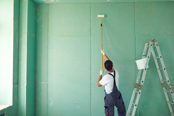 Best Mold Removal for HVAC Installations  in Basehor, KS