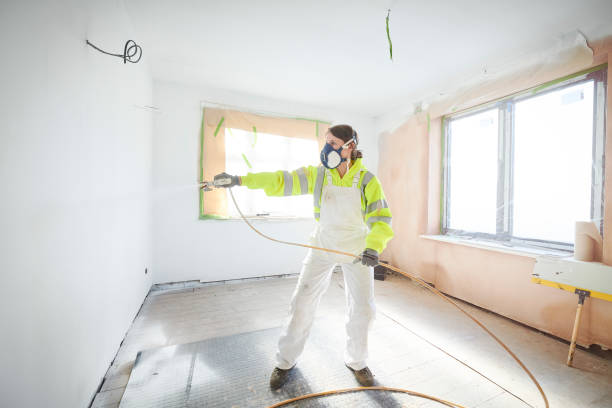 Best Emergency Mold Remediation  in Basehor, KS