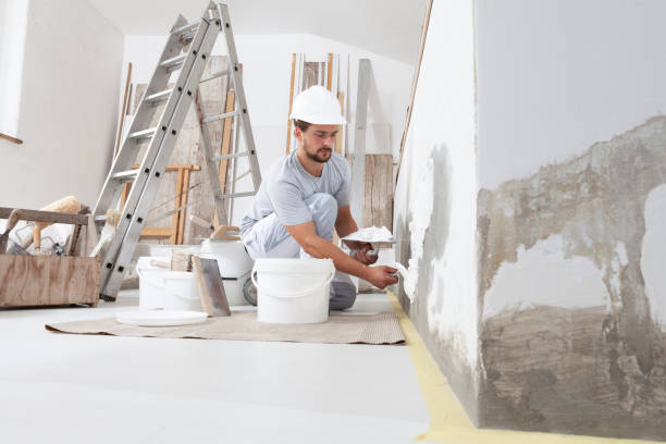 Reliable Basehor, KS Mold Removal Solutions