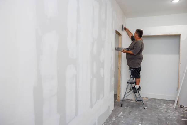 Best Black Mold Removal  in Basehor, KS