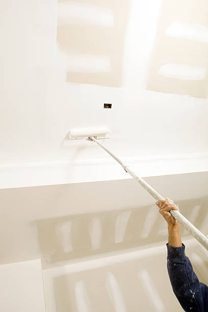 Best Mold Prevention Services  in Basehor, KS