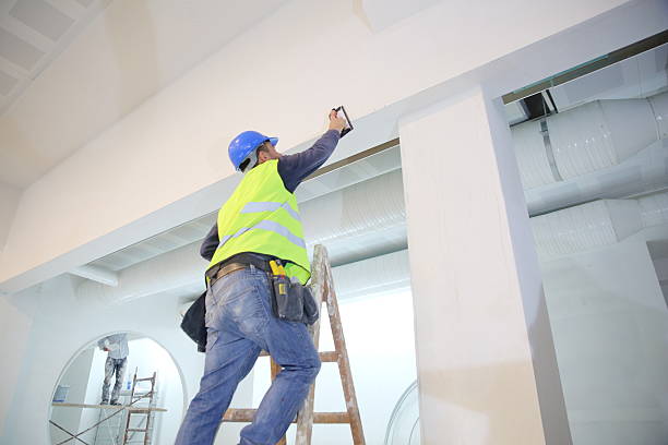 Best Commercial Mold Inspection  in Basehor, KS