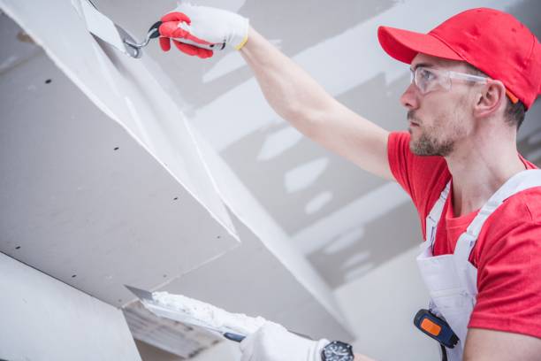Best Air Quality Testing for Mold Spores  in Basehor, KS