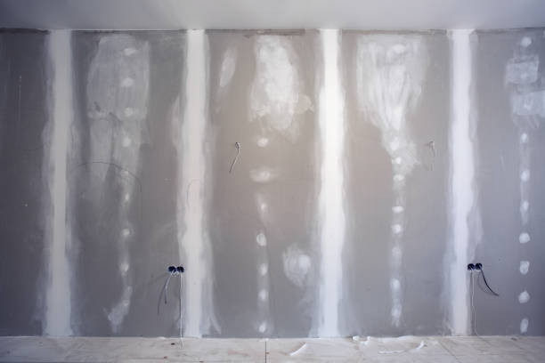 Best Mold Prevention Services  in Basehor, KS